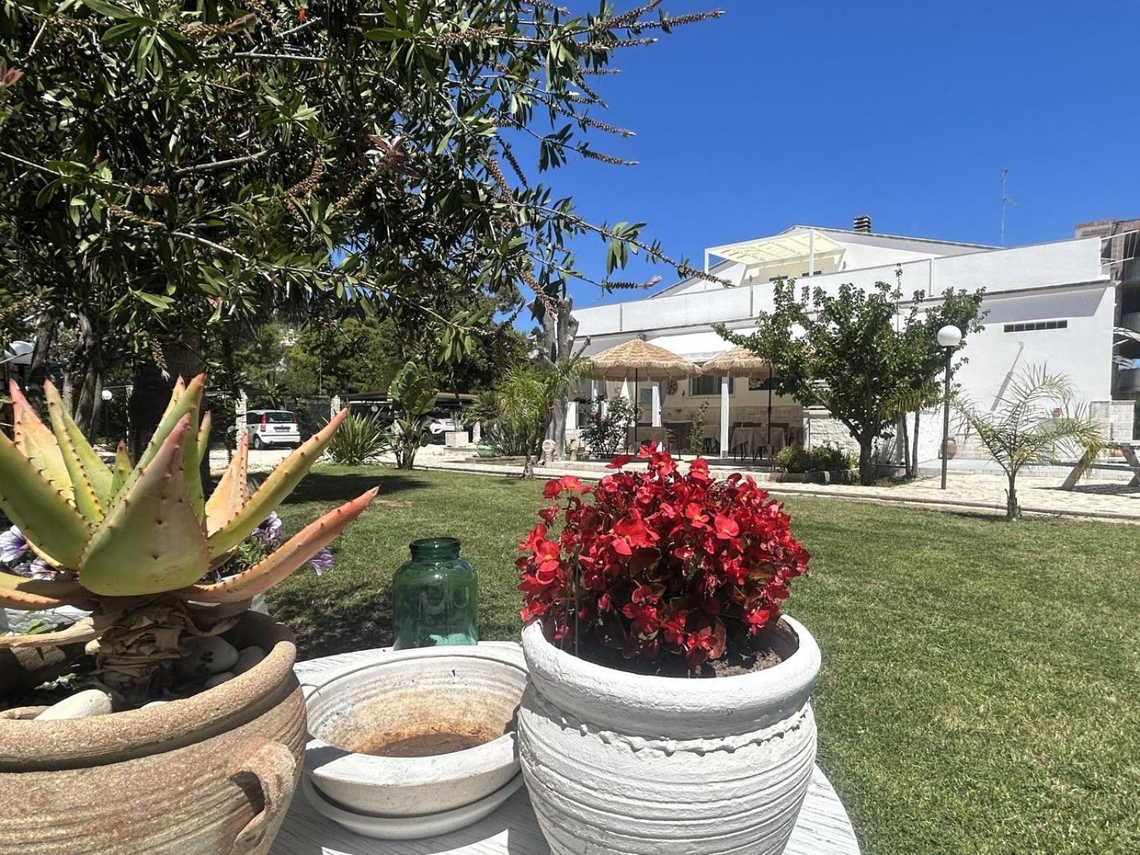 Villa Soleanna Residence Vieste Exterior photo